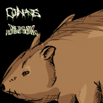 1000 Wombats Stomping – Godinpants